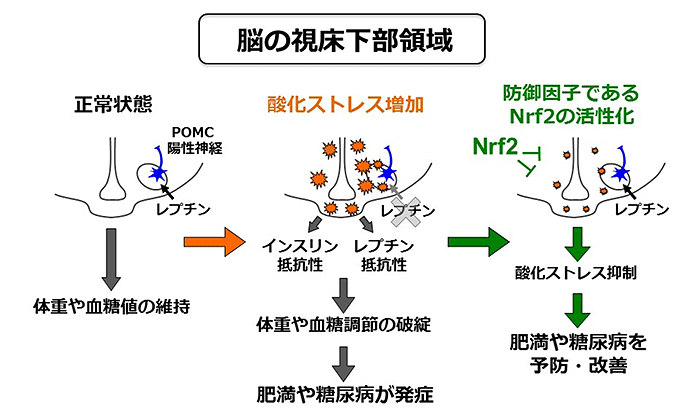 説明図(説明は図の下に記載)