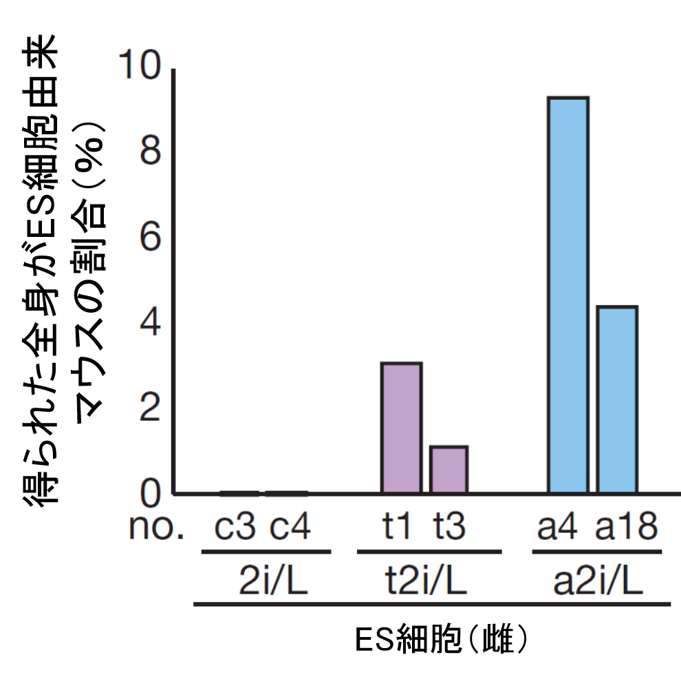 説明図・6枚目(説明は図の下に記載)
