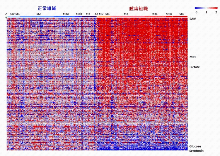 説明図・3枚目(説明は図の下に記載)