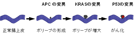 説明図・5枚目(説明は図の下に記載)