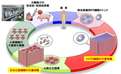 図1