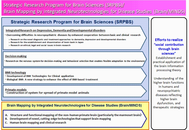 Strategic research program for brain sciences