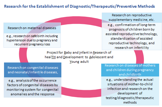 Overview of the Program