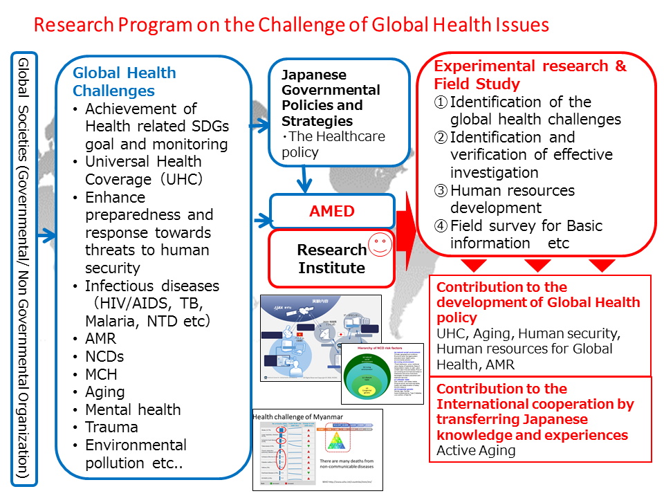 Research Program on the challenges of Global Health issues
