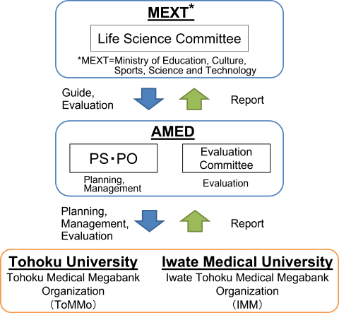 Management and Evaluation Framework