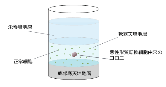 説明図・1枚目