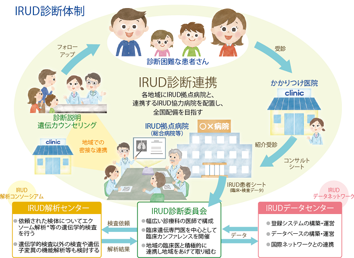 IRUD診断体制図