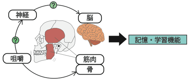 図1