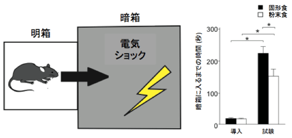 図2