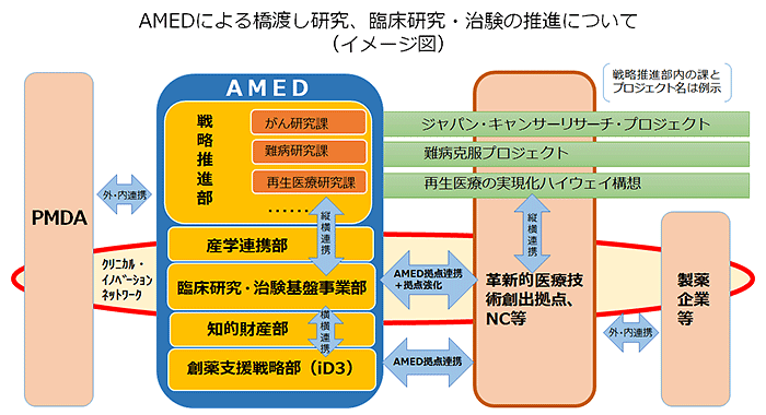 AMEDによる橋渡し研究、臨床研究・治験の推進について（イメージ図）