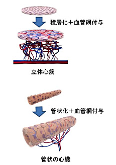 説明図