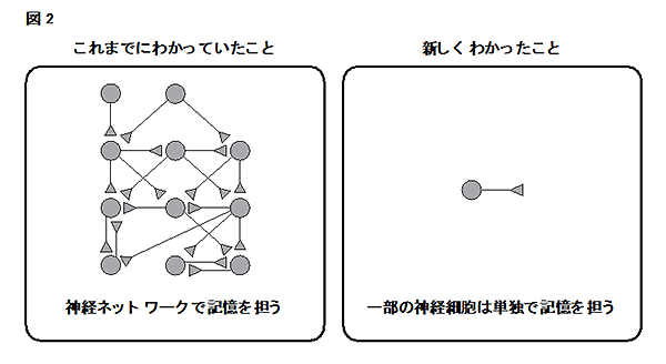 release_220151225-01_fig02