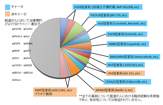 図3:胆道がんの約40%には治療標的となりうるゲノム異常が存在していることを明らかにした (*下図では同一症例に重複して起こっている遺伝子についても分けて表示)