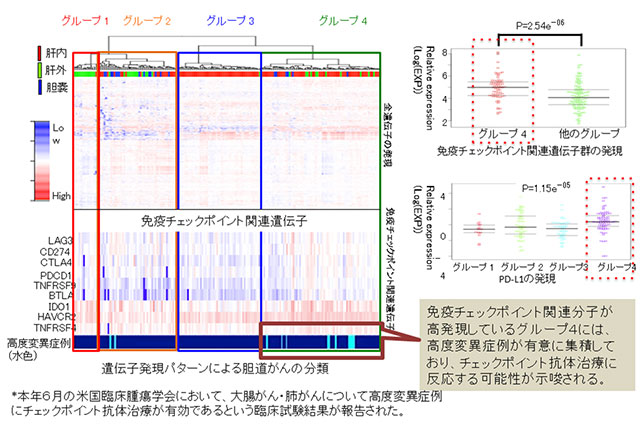 図4：胆道がんにおいて免疫チェックポイント療法に反応する可能性が高いグループを同定