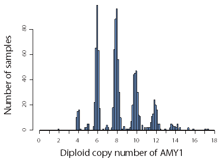 図2：アミラーゼの個人毎に推定された遺伝子のコピー数