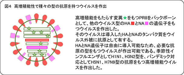 図4：高増殖能性で種々の型の抗原を持つウイルスを作出