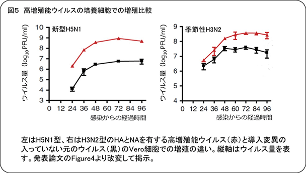 図5：高増殖能ウイルスの培養細胞での増殖比較