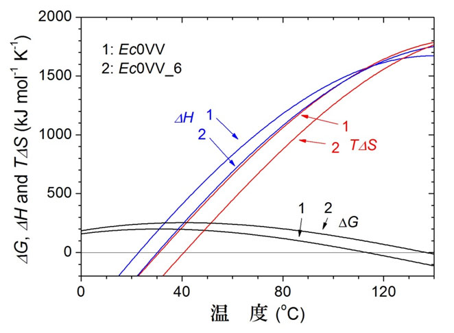 図5　Ec0VV（1）とEc0VV_6（2）の変性の熱力学的パラメータの温度関数