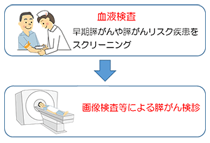 今後の展望・イメージ図