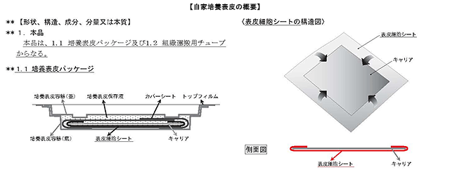 自家培養皮膚の概念