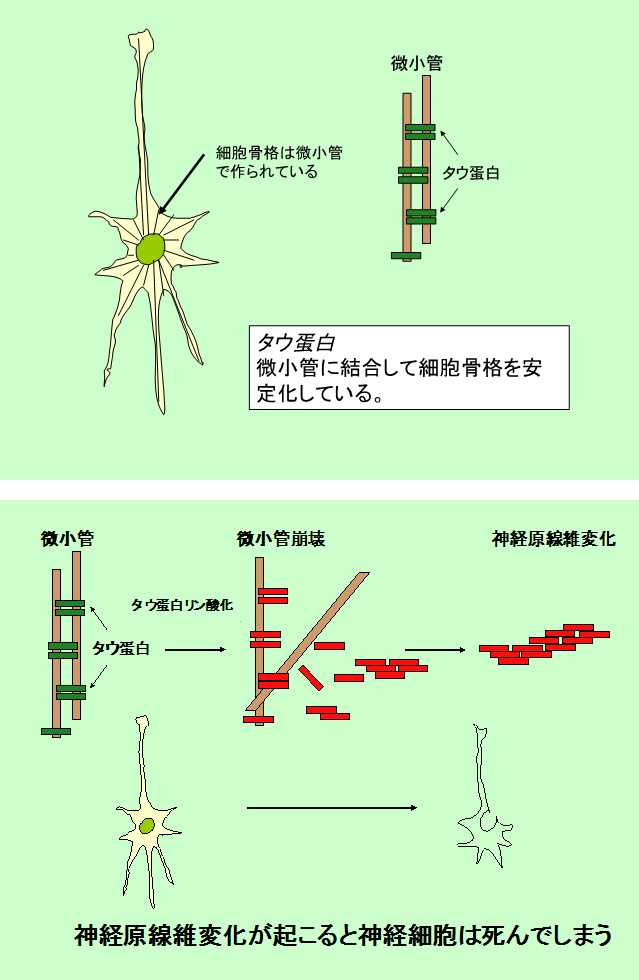 説明図・1枚目