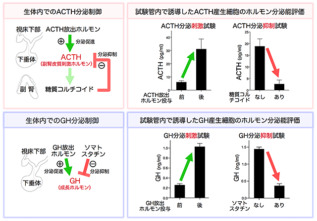 説明図・3枚目