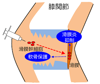 説明図