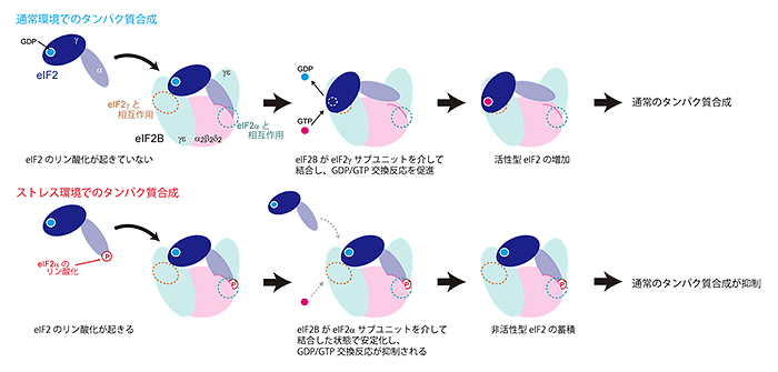 説明図・3枚目