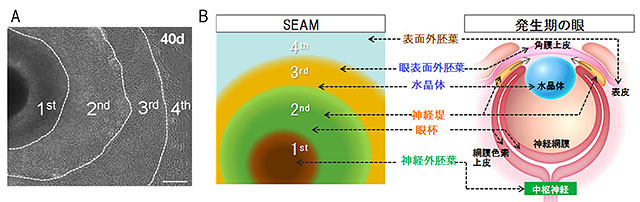 説明図・1枚目