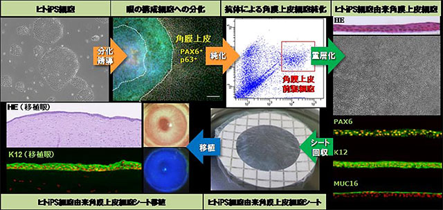 説明図・2枚目