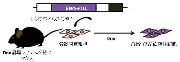 説明図・1枚目