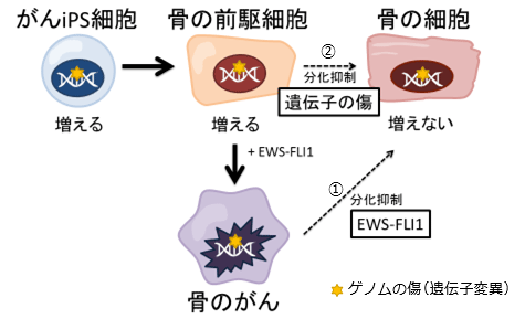 説明図・9枚目