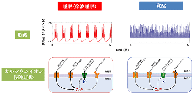 説明図・1枚目