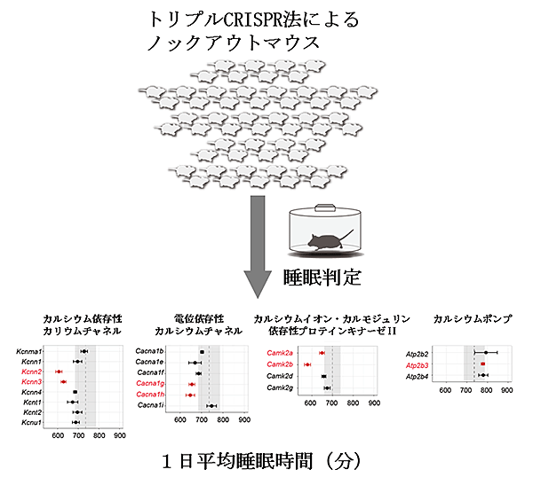 説明図・2枚目