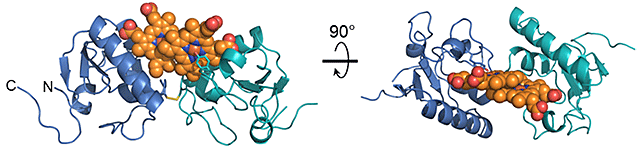 説明図・2枚目