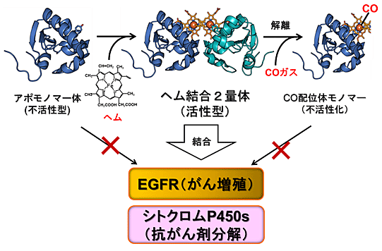 説明図・3枚目