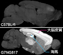 説明図・1枚目