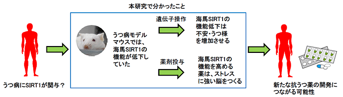 説明図・7枚目