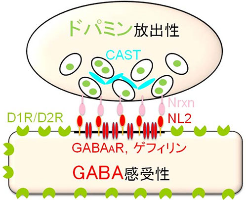 説明図・2枚目