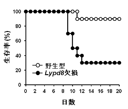 説明図・6枚目