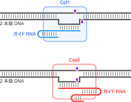 説明図・1枚目