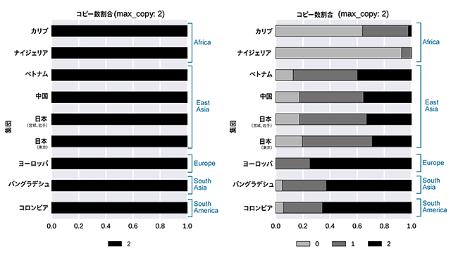 日本人の1,070人でも他集団でも確認されている挿入配列の例（左）、集団毎に異なる挿入配列の例（右）