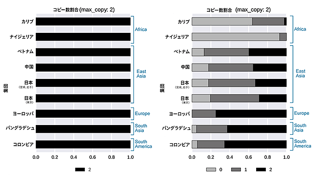 日本人の1,070人でも他集団でも確認されている挿入配列の例(左)、集団毎に異なる挿入配列の例(右)