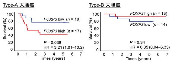 参考図・4枚目