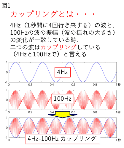 異なった周波数の脳波が相互に関連性をもって活動するカップリング（図1）異なった周波数の脳波が相互に関連性をもって活動するカップリング（図1）