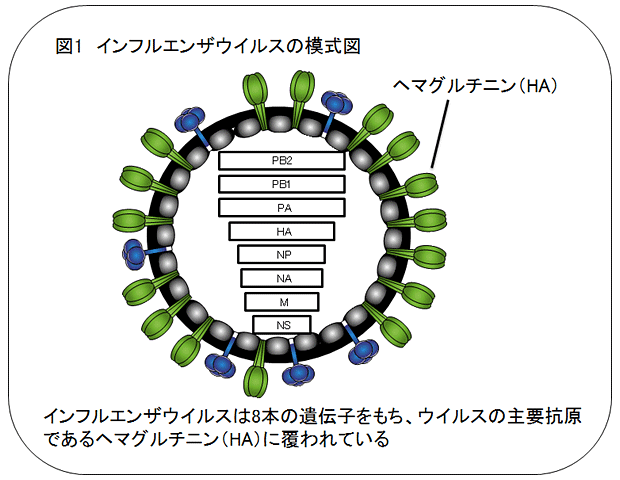 説明図・1枚目