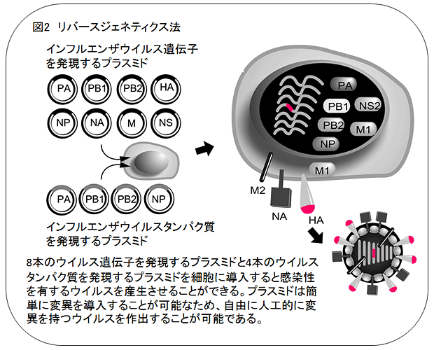 説明図・2枚目