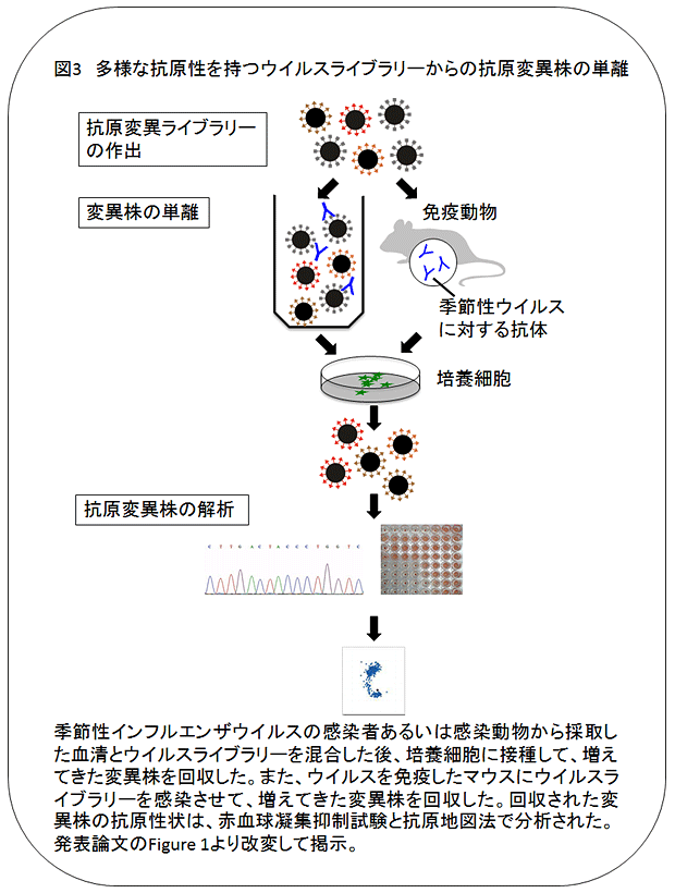 説明図・3枚目