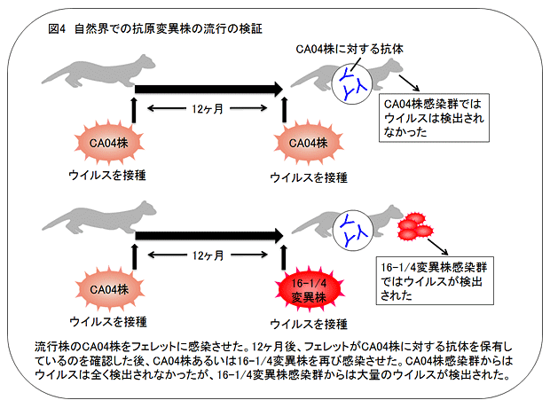 説明図・4枚目