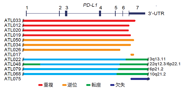 説明図・2枚目